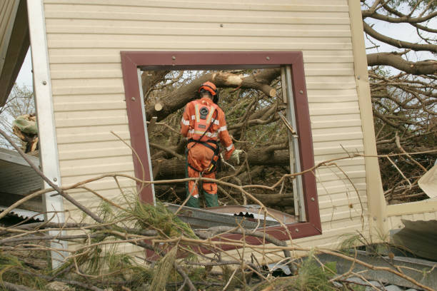 Reliable Stepping Stone, CO Tree Care Services Solutions